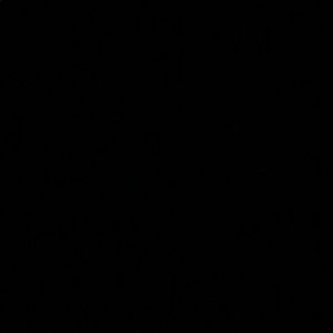 Meet your Posher, Gabriella